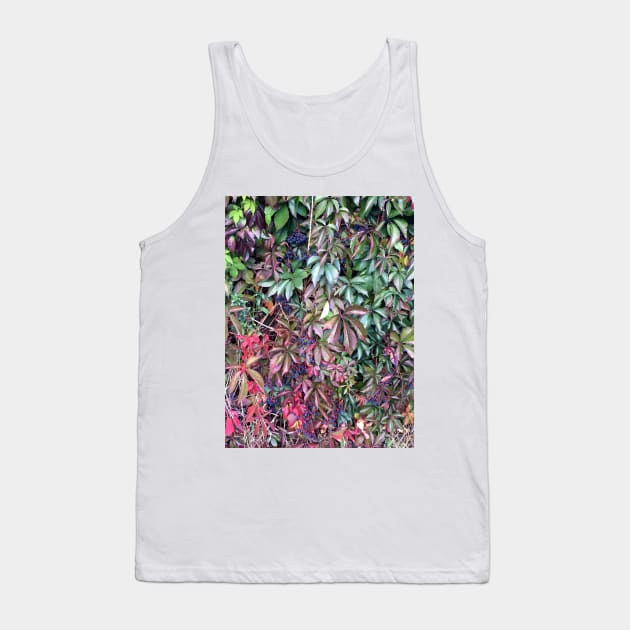 Virginia Creeper Tank Top by Ecotone